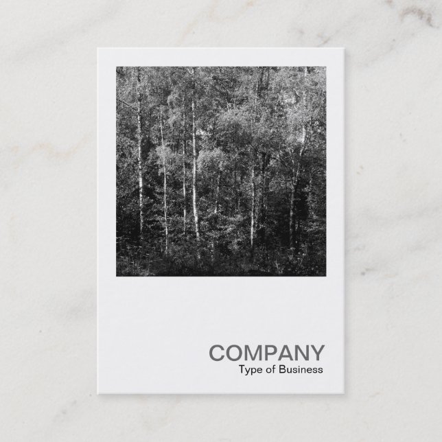 Carte De Visite Photo carré 0169 - Arbres à bouleau d'argent (Devant)