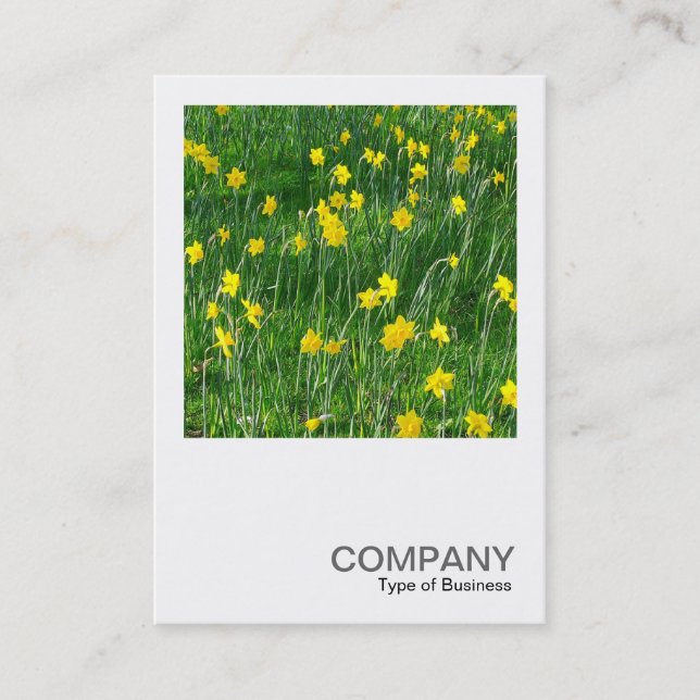 Carte De Visite Photo carré 0201 - Daffodils/Narcisse (Devant)