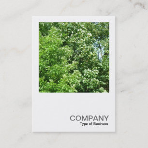 Carte De Visite Photo carré 0237 - Summer Breeze
