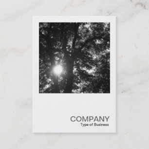 Carte De Visite Photo carré 0255 - Sun Through Trees B&W
