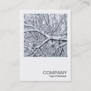 Carte De Visite Photo carré 0279 - Branches de neige