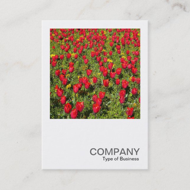 Carte De Visite Photo carré 02 - Tulipes (Devant)