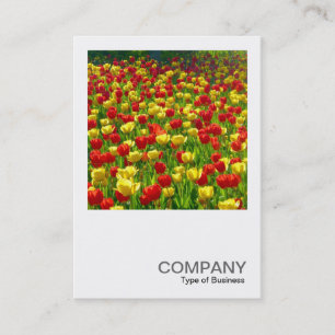 Carte De Visite Photo carré 0317 - Mer des Tulipes