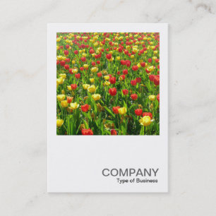 Carte De Visite Photo carré 0318 - Mer des Tulipes II