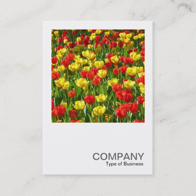 Carte De Visite Photo carré 0320 - Mer des Tulipes III (Devant)