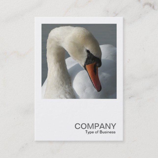 Carte De Visite Photo carré 0349 - Swan (Devant)