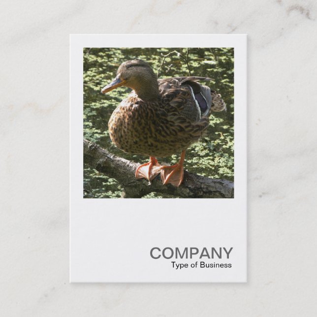 Carte De Visite Photo carré 0351 - Happy Duck (Devant)