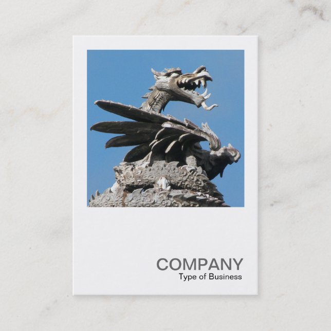 Carte De Visite Photo carré 0362 - Dragon, Hôtel de Ville de Cardi (Devant)