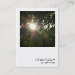 Carte De Visite Photo carré 0377 - Branches japonaises