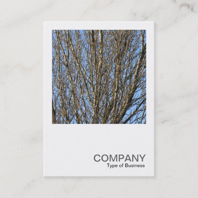 Carte De Visite Photo carré 0385 - Branches illuminées (Devant)