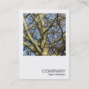 Carte De Visite Photo carré 0386 - Branches