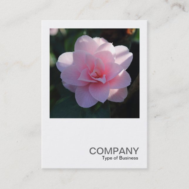 Carte De Visite Photo carré 0394 - Camellia rose (Devant)