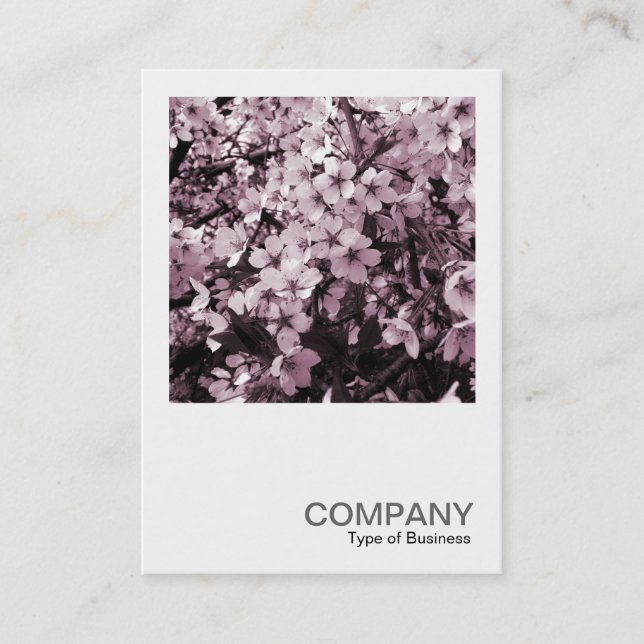 Carte De Visite Photo carré 041 - Fleur de cerisier (Devant)