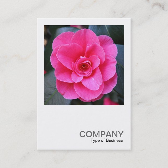 Carte De Visite Photo carré 0429 - Camellia rose (Devant)