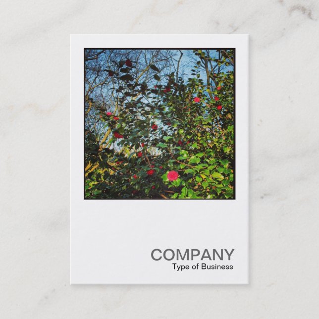 Carte De Visite Photo carré 0437 - Camellia Bush (Devant)