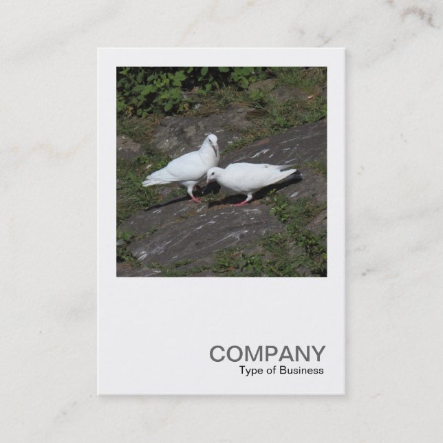 Carte De Visite Photo carré 0451 - Pigeons blancs (Devant)