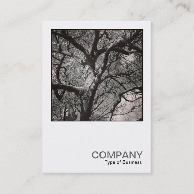 Carte De Visite Photo carré 0458 - Arbre de Magnolia (Devant)