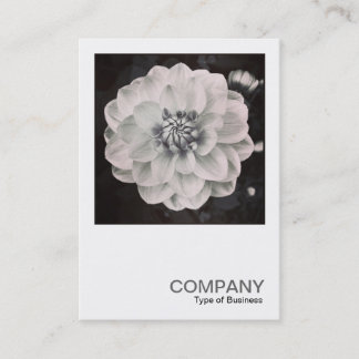 Carte De Visite Photo carré 0460 - Chrysanthemum