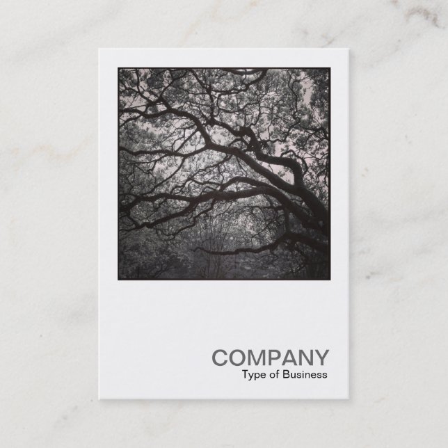Carte De Visite Photo carré 0462 - Arbre de Magnolia en fleurs 01 (Devant)