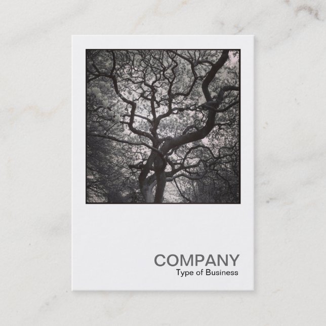 Carte De Visite Photo carré 0464 - Arbre de Magnolia en fleurs (Devant)