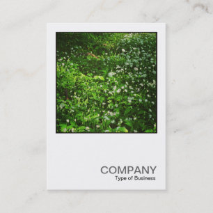 Carte De Visite Photo carré 0468 - Fleurs de bois