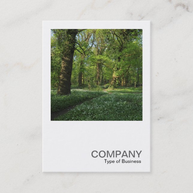 Carte De Visite Photo carré 0472 - Printemps dans les bois (Devant)