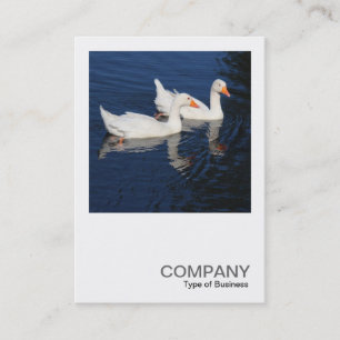 Carte De Visite Photo carré 0474 - Emden Geese