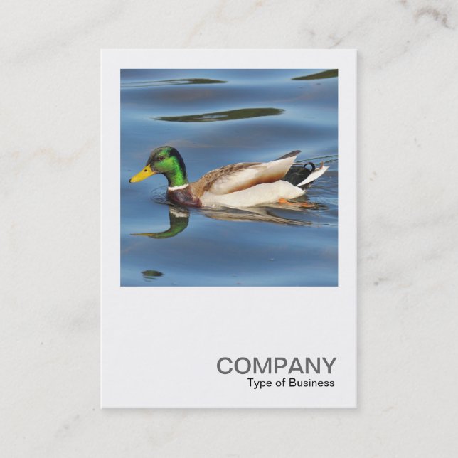 Carte De Visite Photo carré 0475 - Canard colvert (Devant)