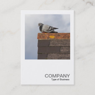 Carte De Visite Photo carré 0499 - Good Morning Pigeon