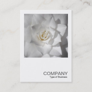 Carte De Visite Photo carré 0512 - Camellia blanche