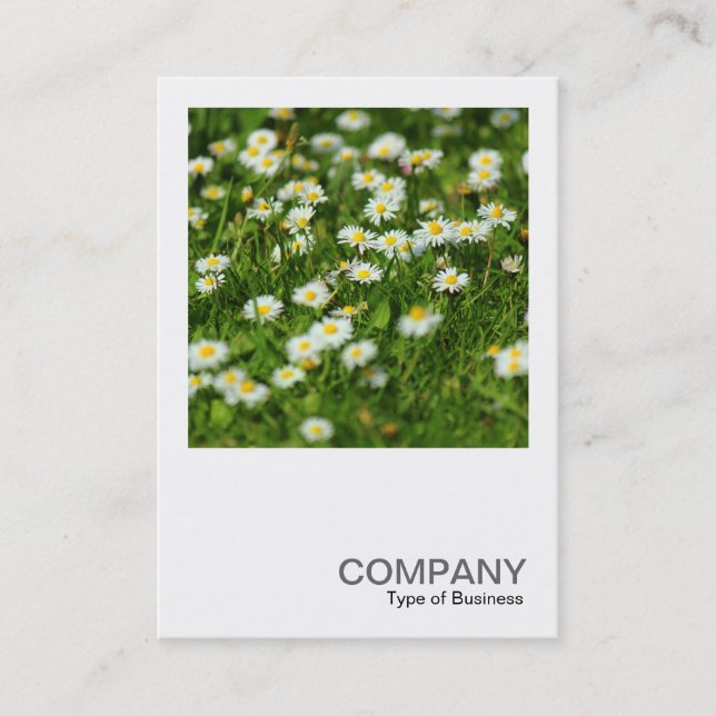 Carte De Visite Photo carré 0513 - Pré Daisy (Devant)