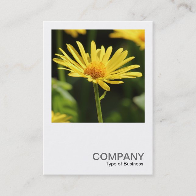 Carte De Visite Photo carré 0542 - Jaune Daisy (Devant)