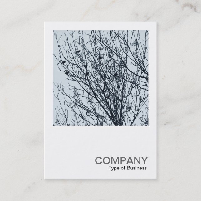 Carte De Visite Photo carré 0563 - Épouses dans un arbre (Devant)
