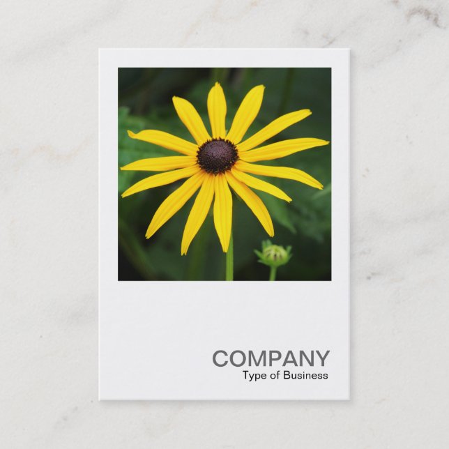 Carte De Visite Photo carré 0587 - Rudbeckia hirta (Devant)