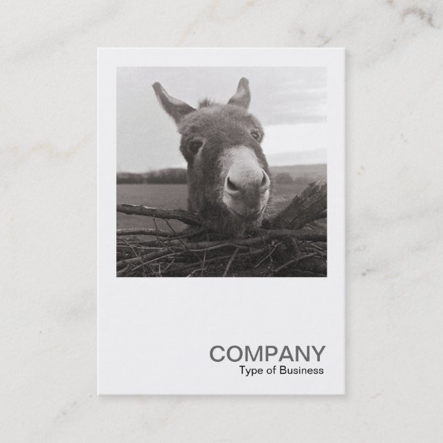 Carte De Visite Photo carré 0589 - Donkey amical (Devant)