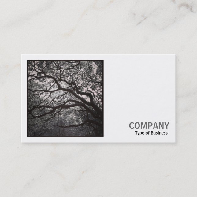 Carte De Visite Photo carré (v2) - Arbre de Magnolia en fleurs 01 (Devant)