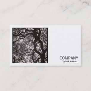 Carte De Visite Photo carré (v2) - Arbre de Magnolia en fleurs 02