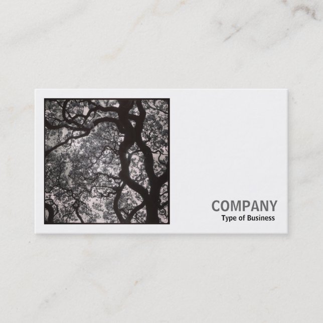 Carte De Visite Photo carré (v2) - Arbre de Magnolia en fleurs 02 (Devant)