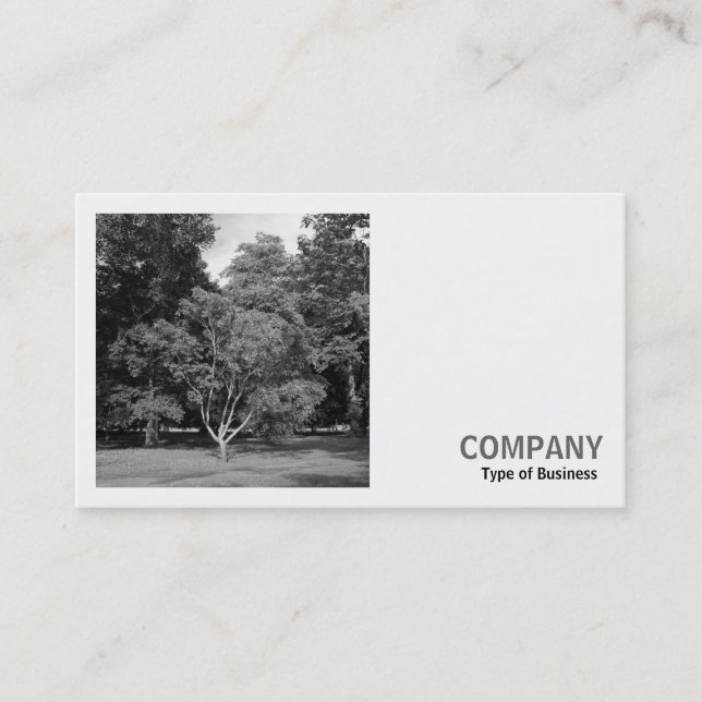 Carte De Visite Photo carré (v2) - Arbres, Bute Park, Cardiff (Devant)