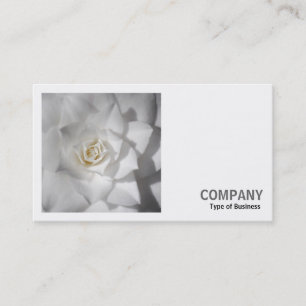 Carte De Visite Photo carré (v2) - Camellia blanche
