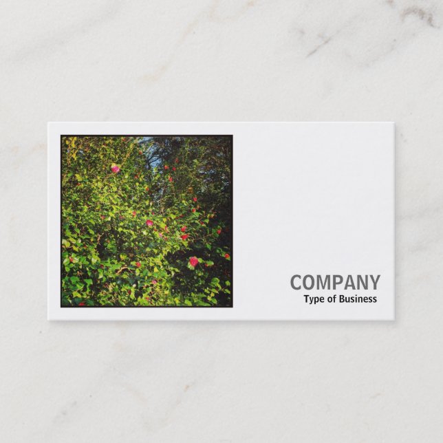 Carte De Visite Photo carré (v2) - Camellia Bush 02 (Devant)