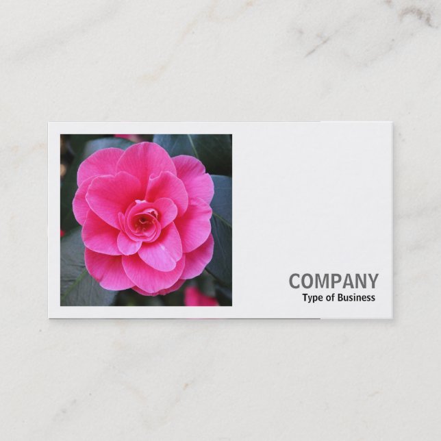 Carte De Visite Photo carré (v2) - Camellia rose (Devant)
