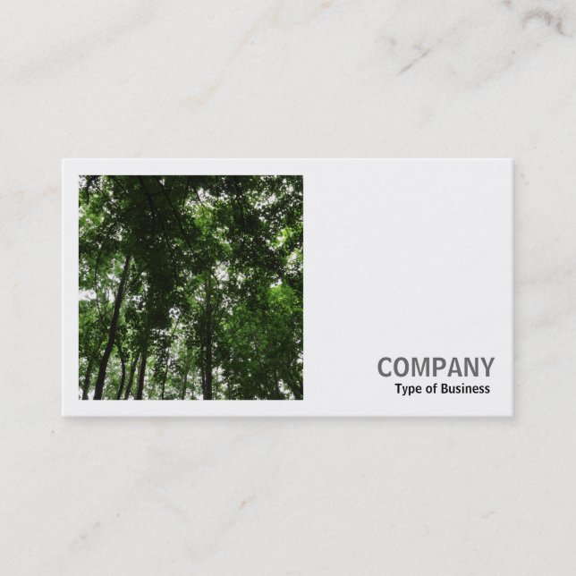 Carte De Visite Photo carré (v2) - Canopée forestière 01 (Devant)