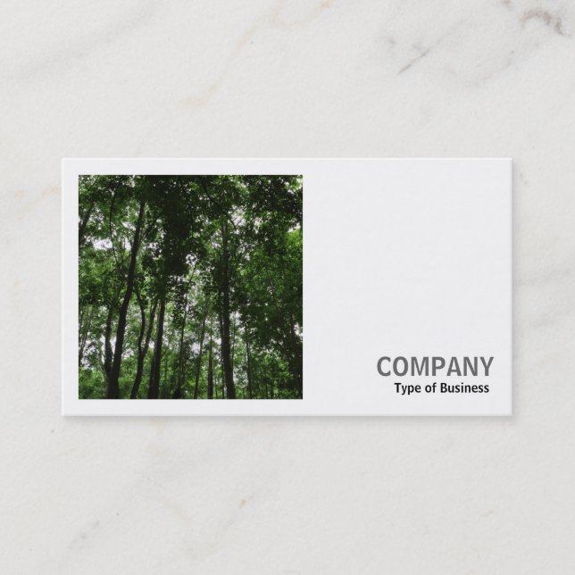 Carte De Visite Photo carré (v2) - Canopée forestière 02 (Devant)