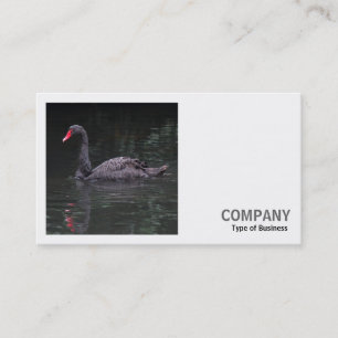 Carte De Visite Photo carré (v2) - Cygne noir