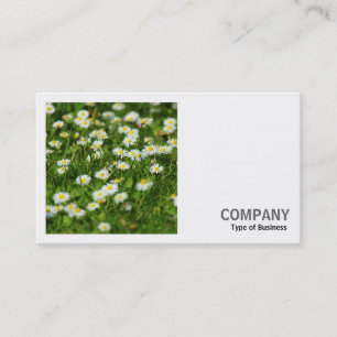 Carte De Visite Photo carré (v2) - Daisy Meadow