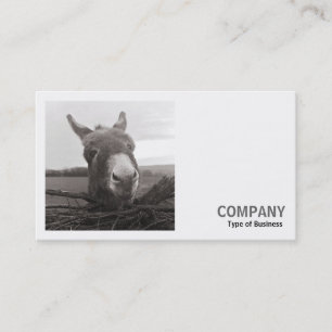 Carte De Visite Photo carré (v2) - Donkey amical