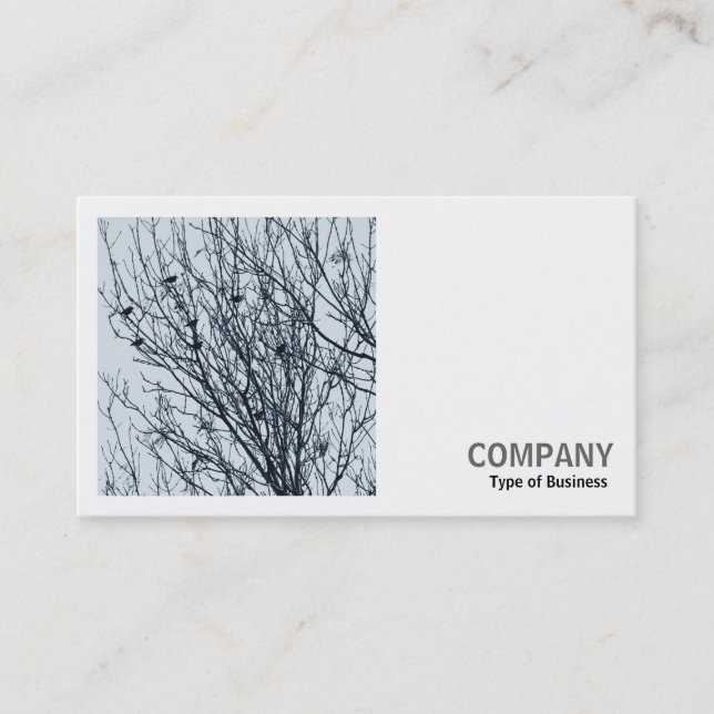 Carte De Visite Photo carré (v2) - Étoiles dans un arbre (Devant)