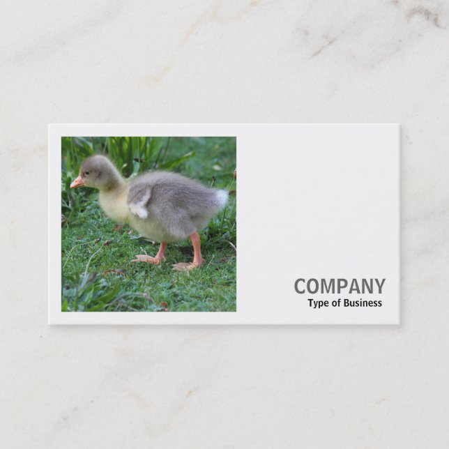 Carte De Visite Photo carré (v2) - Gosling (Devant)