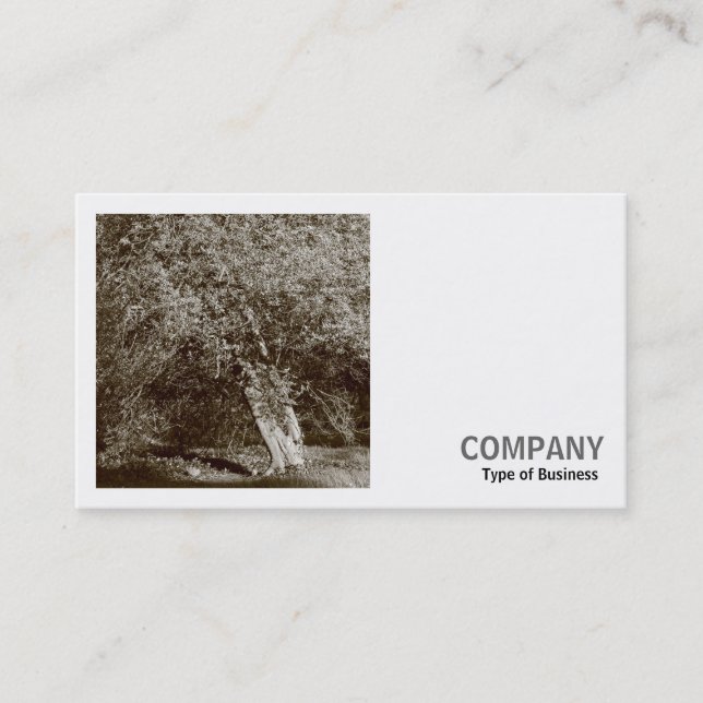Carte De Visite Photo carré (v2) - Holly Tree - Sepia (Devant)